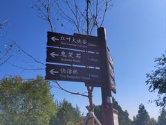 -鬼笑石后山停车场