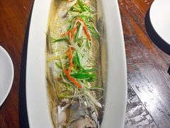 清蒸太湖白鱼-金枝玉叶上海人家食府(三里河店)
