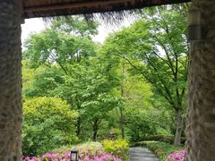 -西郊宾馆·1921餐厅