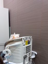 -上海漾颜医疗美容