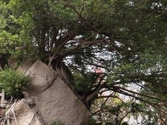 -草庵摩尼教遗址公园