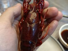 -指爱龙虾(金杨路总店)