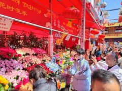 -越秀西湖花市(广州城市广场花卉店)