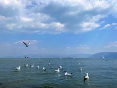 -大理洱海
