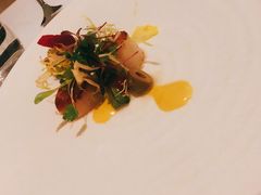 -蝶舍·MAISON PAPILLON