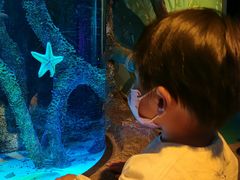 -沈阳海洋探索中心