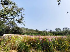-大连铭湖国际观光牧场