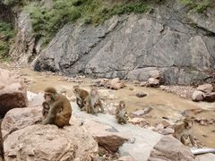 -环翠峪风景区