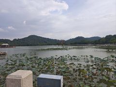 -顺峰山公园