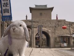 -镇北堡西部影城