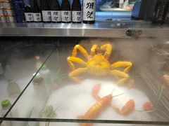 -上清·三文鱼鲜寿司(同德店)