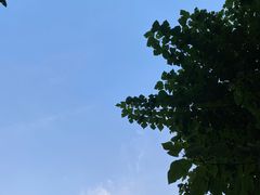 -巴蜀风情(西溪欢乐城店)