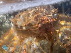 -徐记海鲜(大雁塔|金都店)
