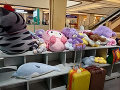 -幻物社(万象天地店)