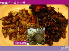 霞浦笔架螺2-财富今典大酒店