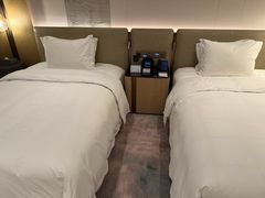 -深圳国际会展中心希尔顿酒店(前海华发冰雪世界店)