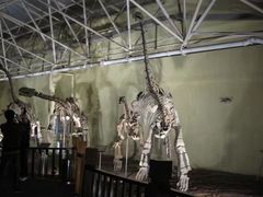 -世界恐龙谷景区