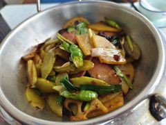 -云中小雅