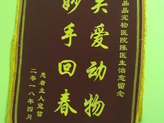 -瑞鹏宠物医院·爱宠堂·骨外专科(西荷分院)