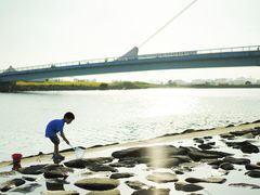 -台场海滨公园船码头