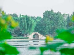 -青枫公园