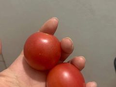-萨莉亚(百信广场店)