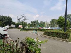 -白鹭湾湿地公园