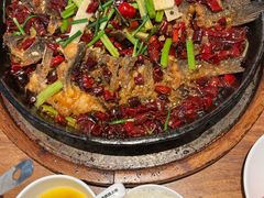 -老板恋上鱼(恒隆广场店)