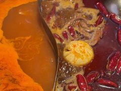 -朱光玉火锅馆(正弘城店)