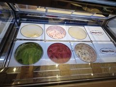 -哈根达斯(陆家浜路店)