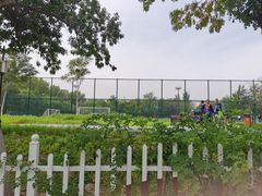 -回龙观体育文化公园