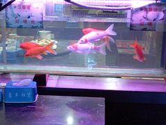 -粗粮人家·东北菜(洋桥店)