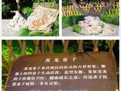-杭州黄龙洞