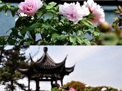 -尚湖风景区