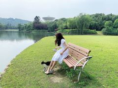 -上海佘山世茂艾美酒店