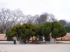 -丽池公园