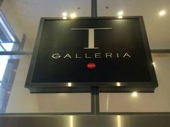 -DFS迪斐世(香港广东道店)