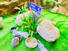 -赛格国际购物中心(小寨店)