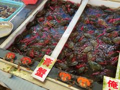 -大湾区中央湿地公园-十九涌