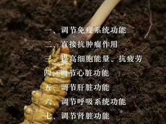 -蛙两只美蛙鱼头火锅(恒茂店)