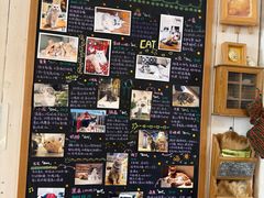 -小时光咖啡馆(开森度假森林店)