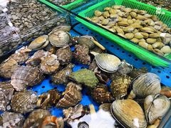 -老东营·东营菜(西四路店)