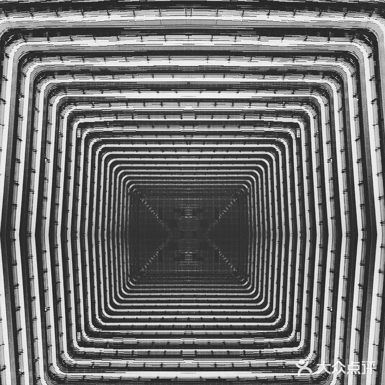 成都拍照| IFS的大熊猫屁屁你还没拍腻嘛?