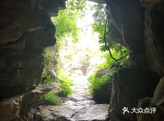 出示了绿色随申码和提前买的门票才入园