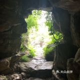 出示了绿色随申码和提前买的门票才入园