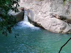 -广州白江湖森林公园