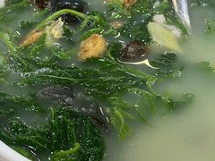 上汤桑叶-苏记餐厅(叠南店)