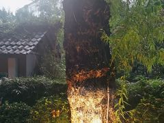 -大妙火锅·非物质文化遗产(东湖公园店)