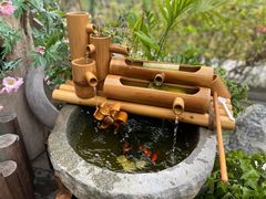 -小茶闲舍·观景商务茶馆(广州塔店)