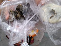 -叶氏麻糍(鼓浪屿店)